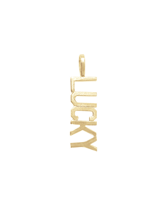 The Lucky Charm – 14K Gold Necklace Charm