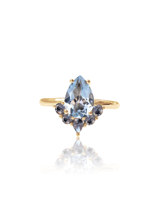 Suyana 14K Aquamarine & Salt and Pepper Diamond Ring